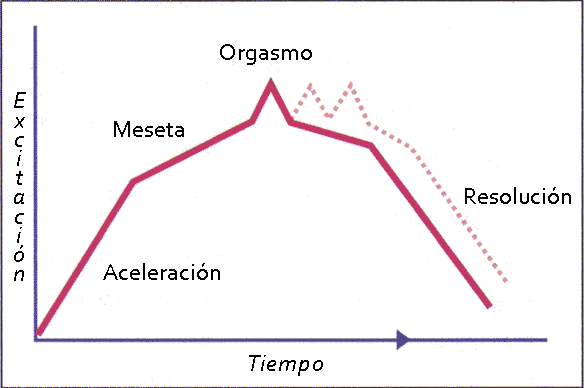 Gráfico de la Respuesta Sexual Femenina